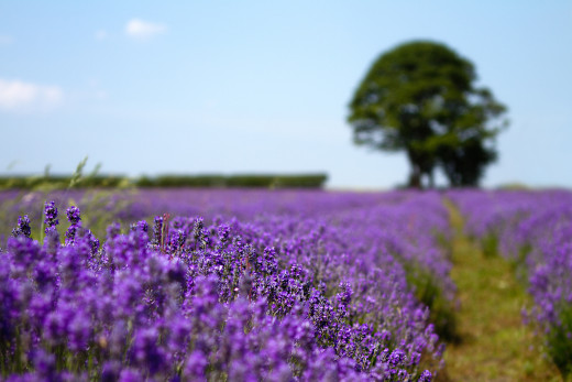 595983 (a): :1920x1280